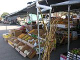 Canino Farmers Market 2520 Airline  (26).JPG